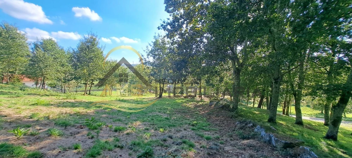 Terreno para Venda em Fornelos Foto 21