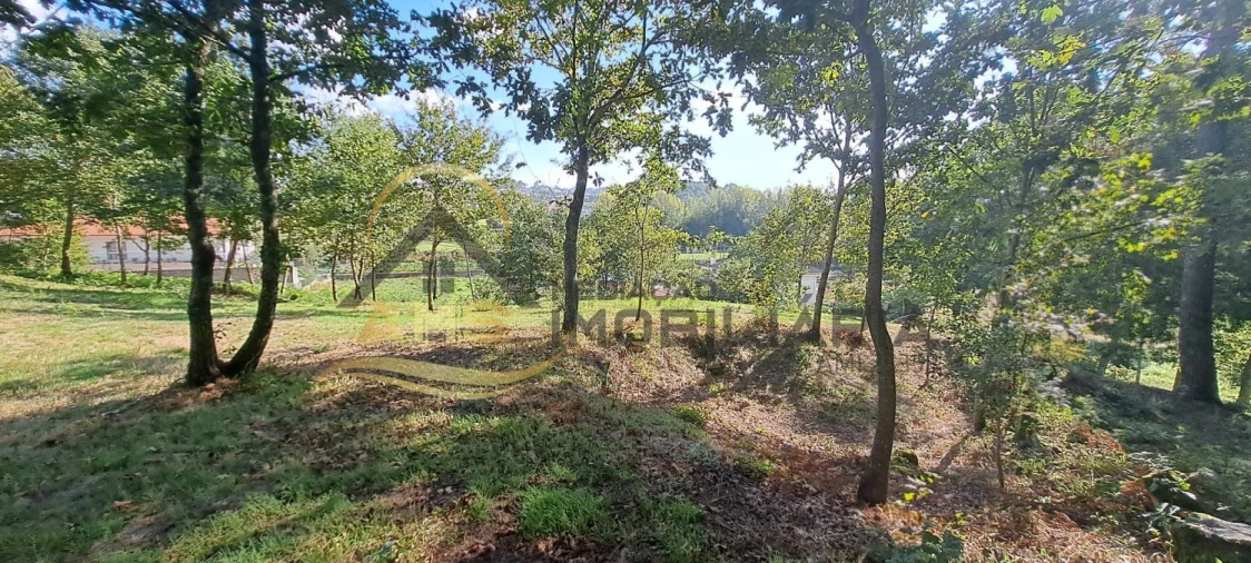 Terreno para Venda em Fornelos Foto 15