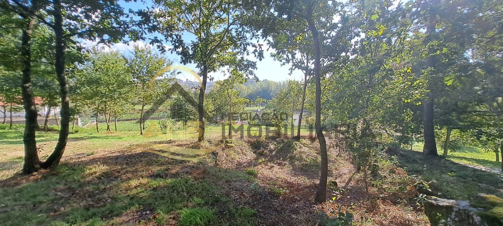 Terreno para Venda em Fornelos Foto 16