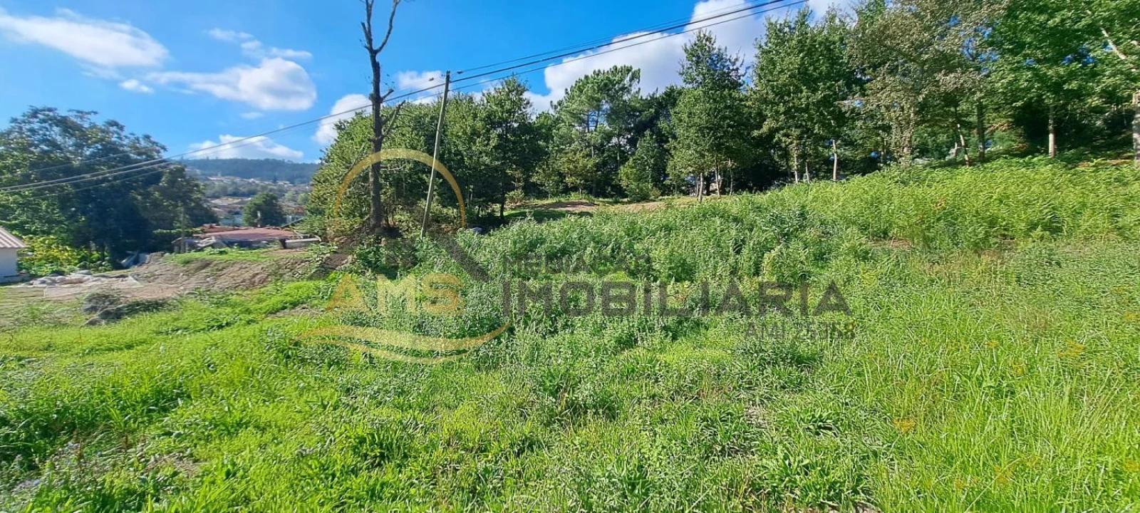 Terreno para Venda em Fornelos Foto 6