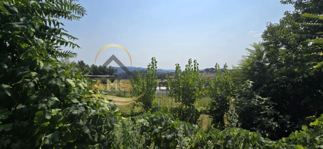 Moradia T2 para Venda em Golães Foto 19