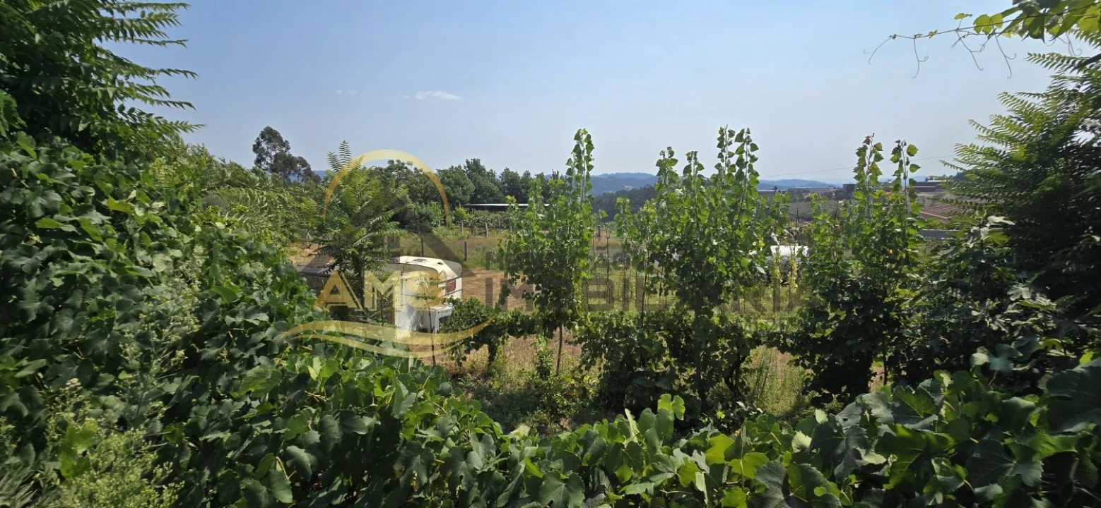 Moradia T2 para Venda em Golães Foto 26