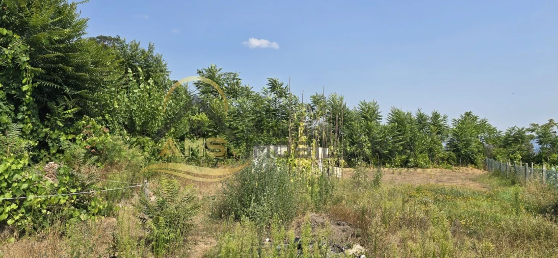 Terreno para Venda em Golães Foto 12