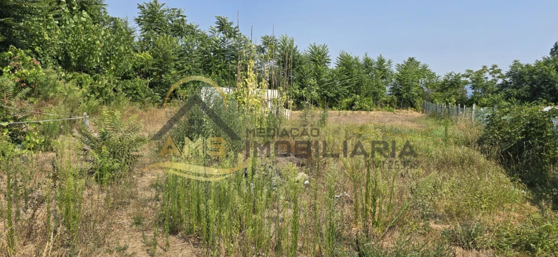 Terreno para Venda em Golães Foto 13