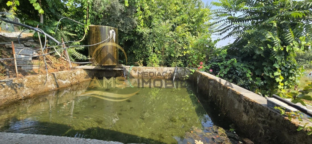 Terreno para Venda em Golães Foto 4