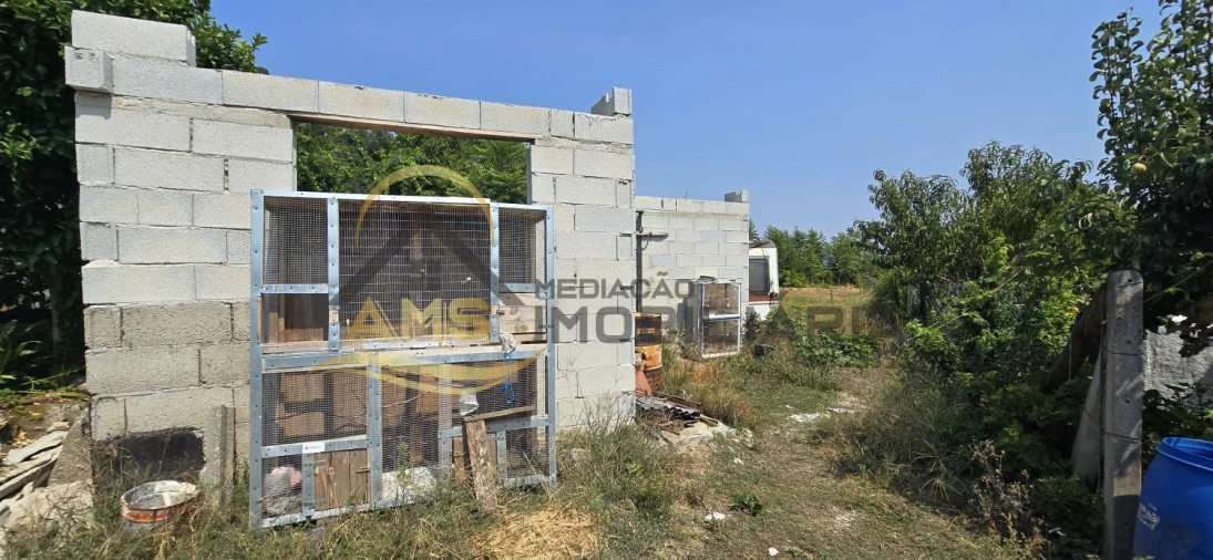 Terreno para Venda em Golães Foto 9