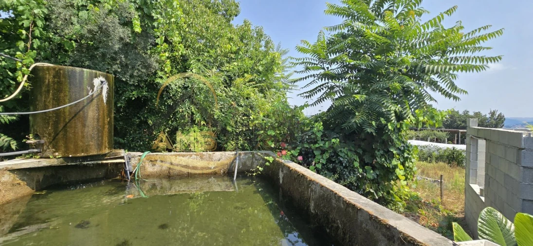 Terreno para Venda em Golães Foto 2