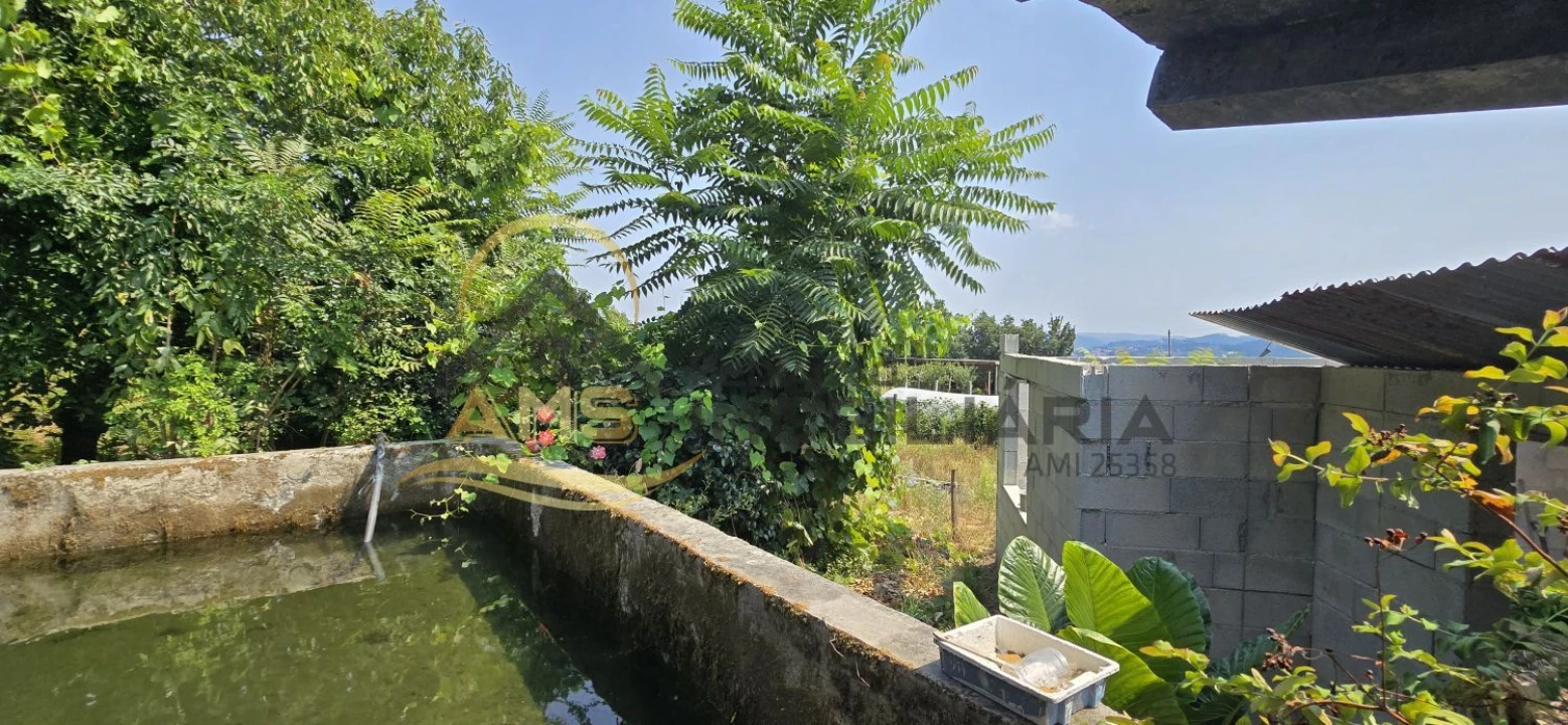 Terreno para Venda em Golães Foto 11