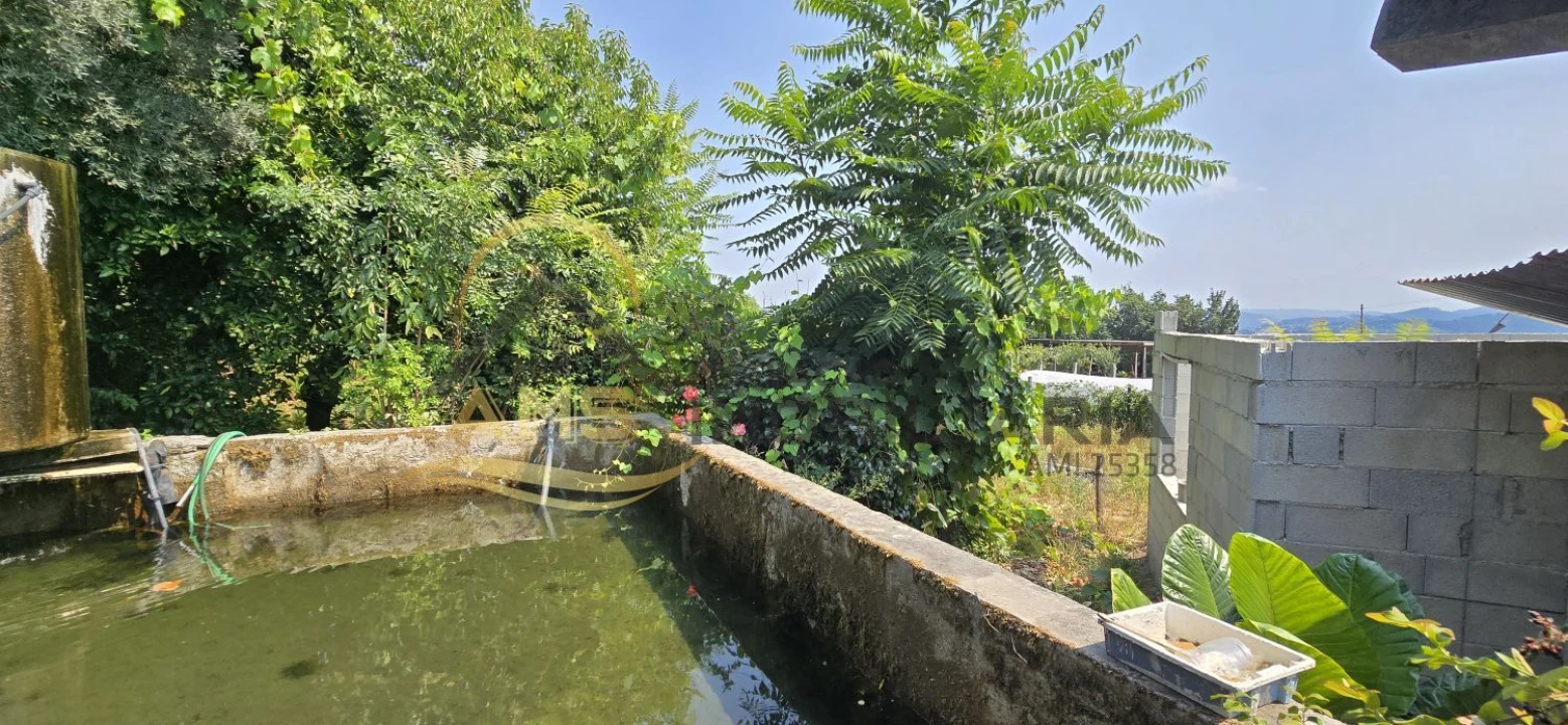 Terreno para Venda em Golães Foto 14