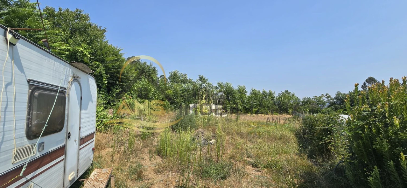 Terreno para Venda em Golães Foto 6