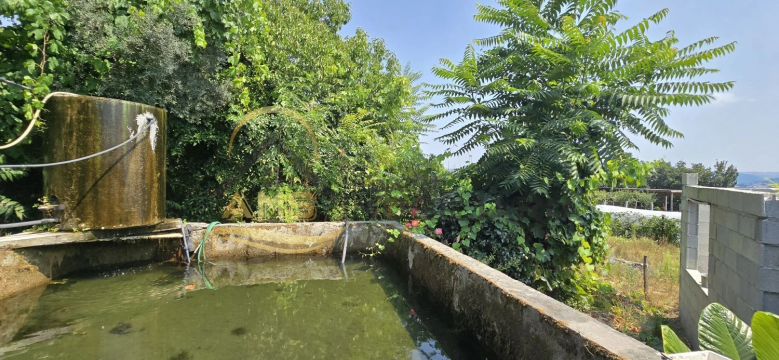Terreno para Venda em Golães Foto 2