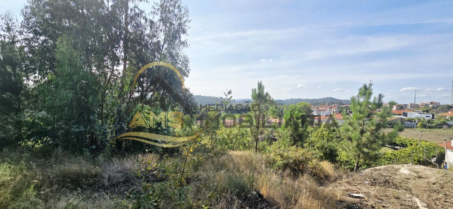 Terreno para Venda em Regadas Foto 7