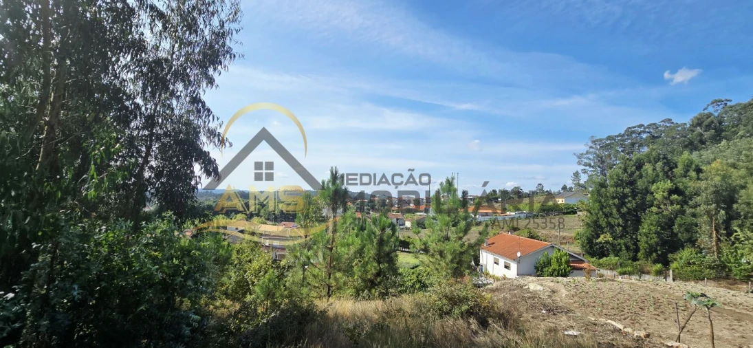 Terreno para Venda em Regadas Foto 14