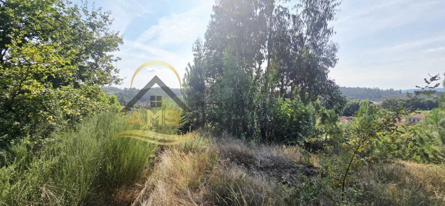 Terreno para Venda em Regadas Foto 12