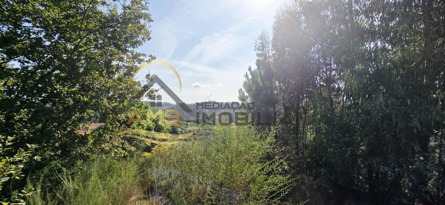 Terreno para Venda em Regadas Foto 15