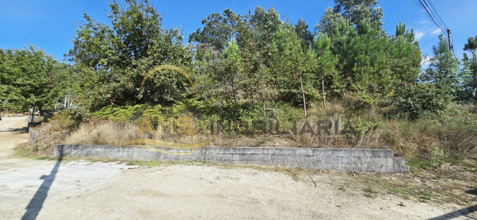 Terreno para Venda em Regadas Foto 9