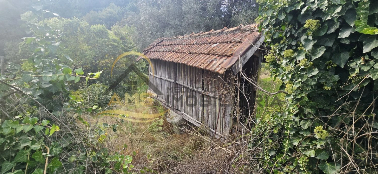 Quinta T2 para Venda em Vale de Bouro Foto 4