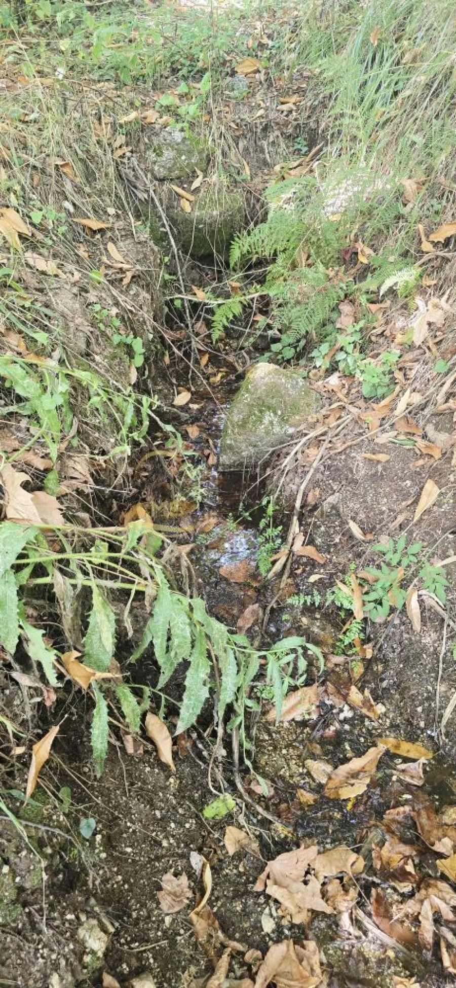 Quinta T2 para Venda em Vale de Bouro Foto 12