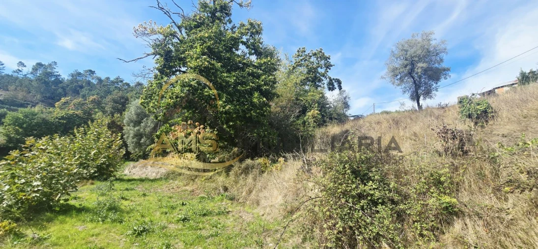 Quinta T2 para Venda em Vale de Bouro Foto 14