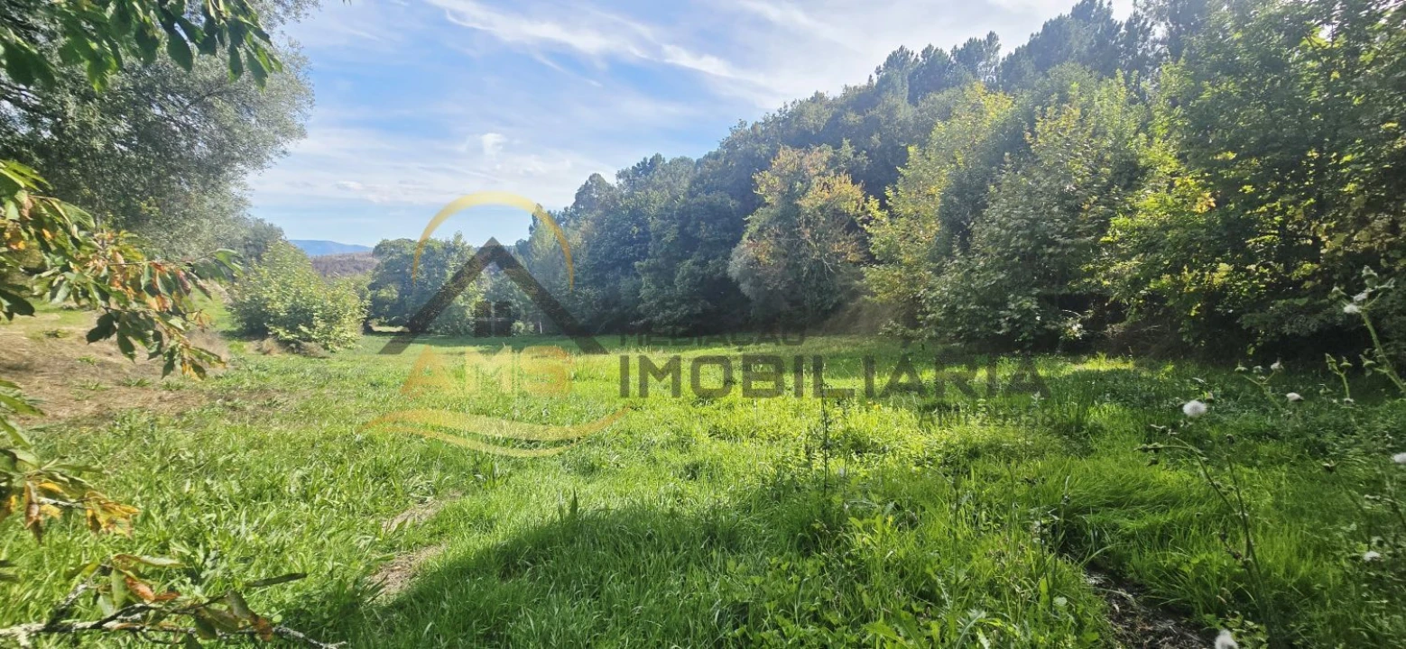 Quinta T2 para Venda em Vale de Bouro Foto 18