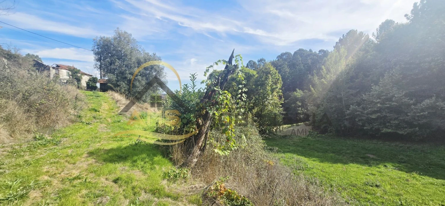 Quinta T2 para Venda em Vale de Bouro Foto 17