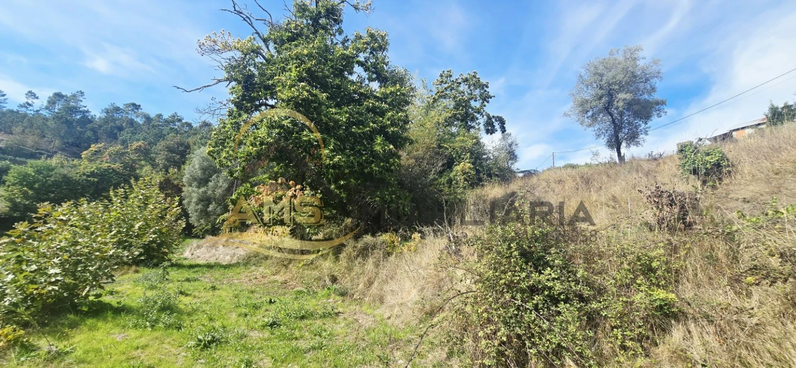 Quinta T2 para Venda em Vale de Bouro Foto 14