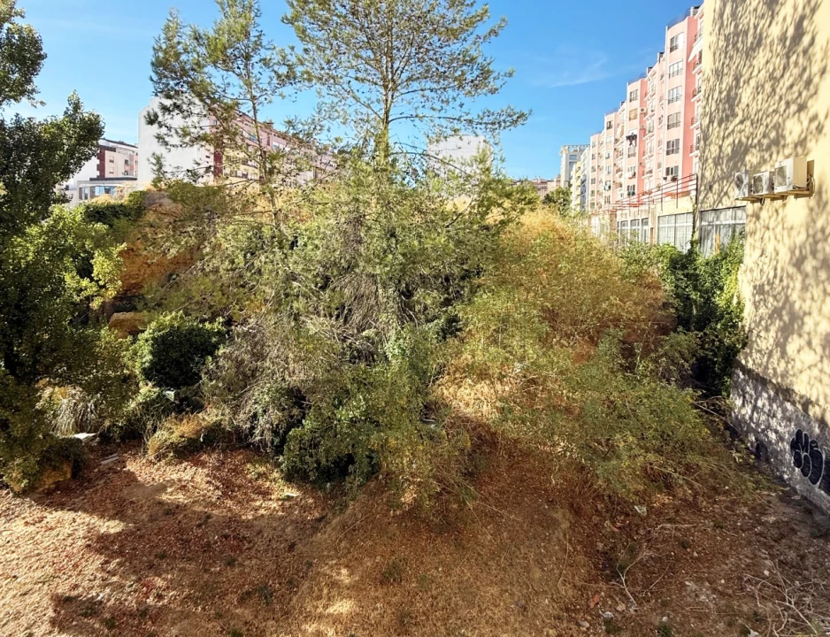 Terreno para Venda em Lumiar Foto 3