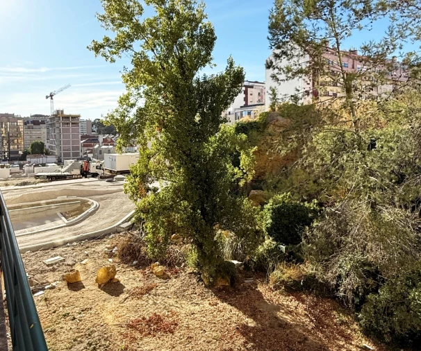 Terreno para Venda em Lumiar Foto 4