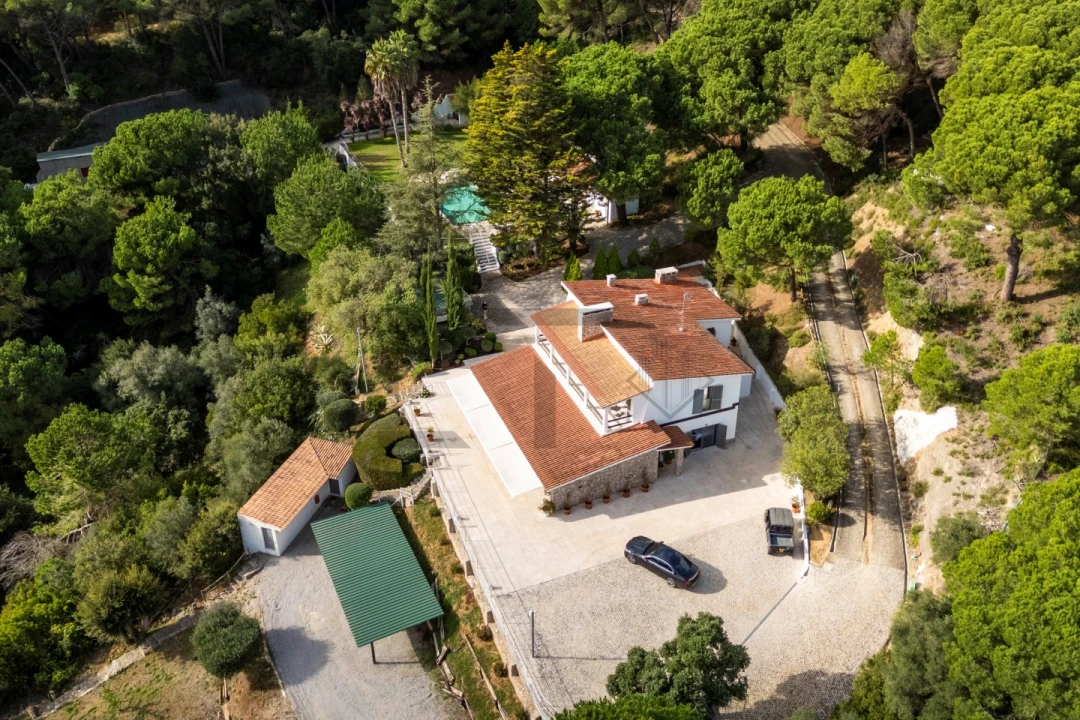 Quinta T5 para Venda em Azeitão (São Lourenço e São Simão) Foto 5