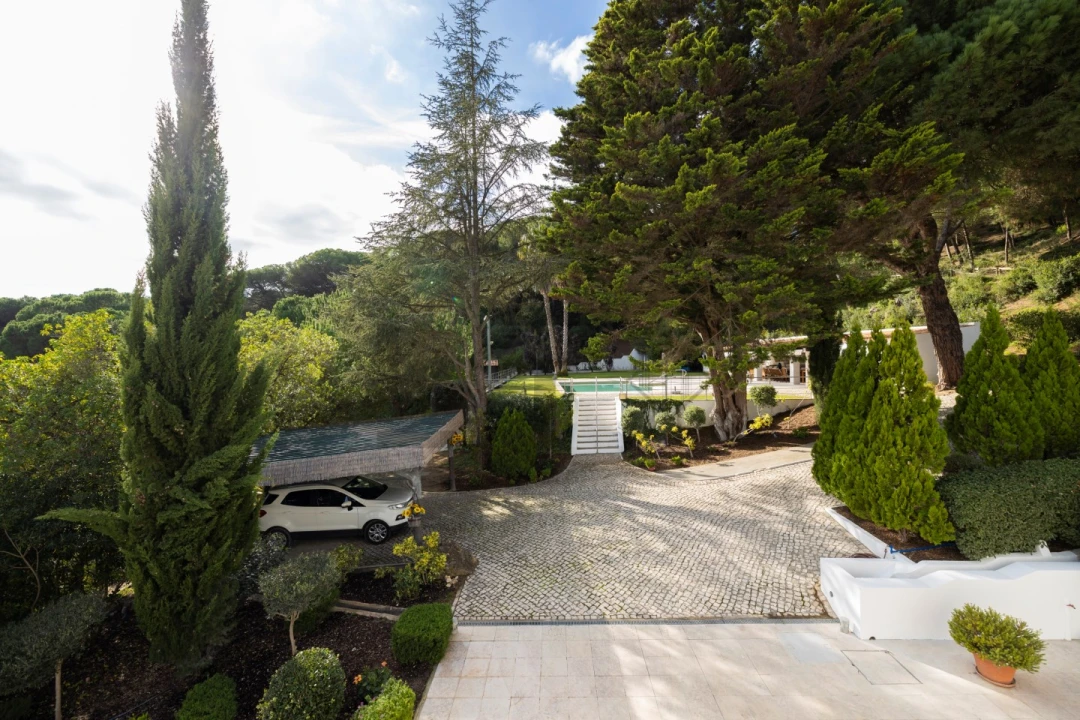 Quinta T5 para Venda em Azeitão (São Lourenço e São Simão) Foto 13