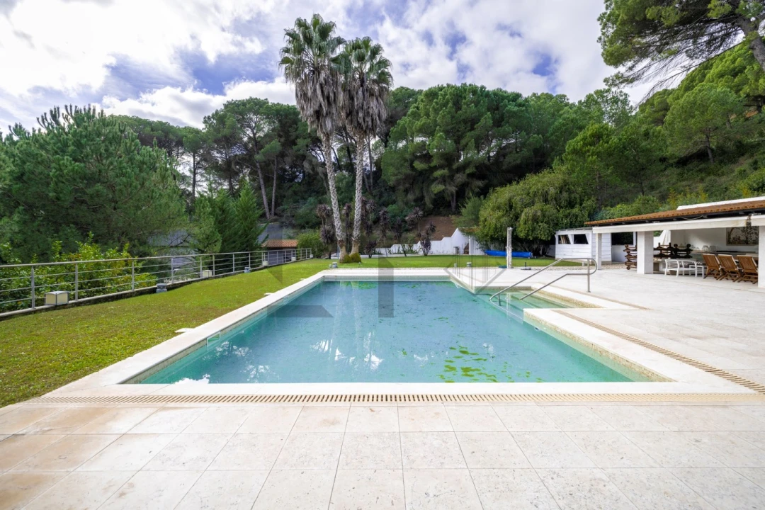 Quinta T5 para Venda em Azeitão (São Lourenço e São Simão) Foto 15