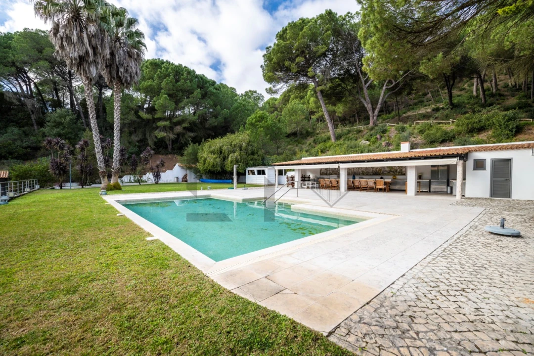 Quinta T5 para Venda em Azeitão (São Lourenço e São Simão) Foto 16