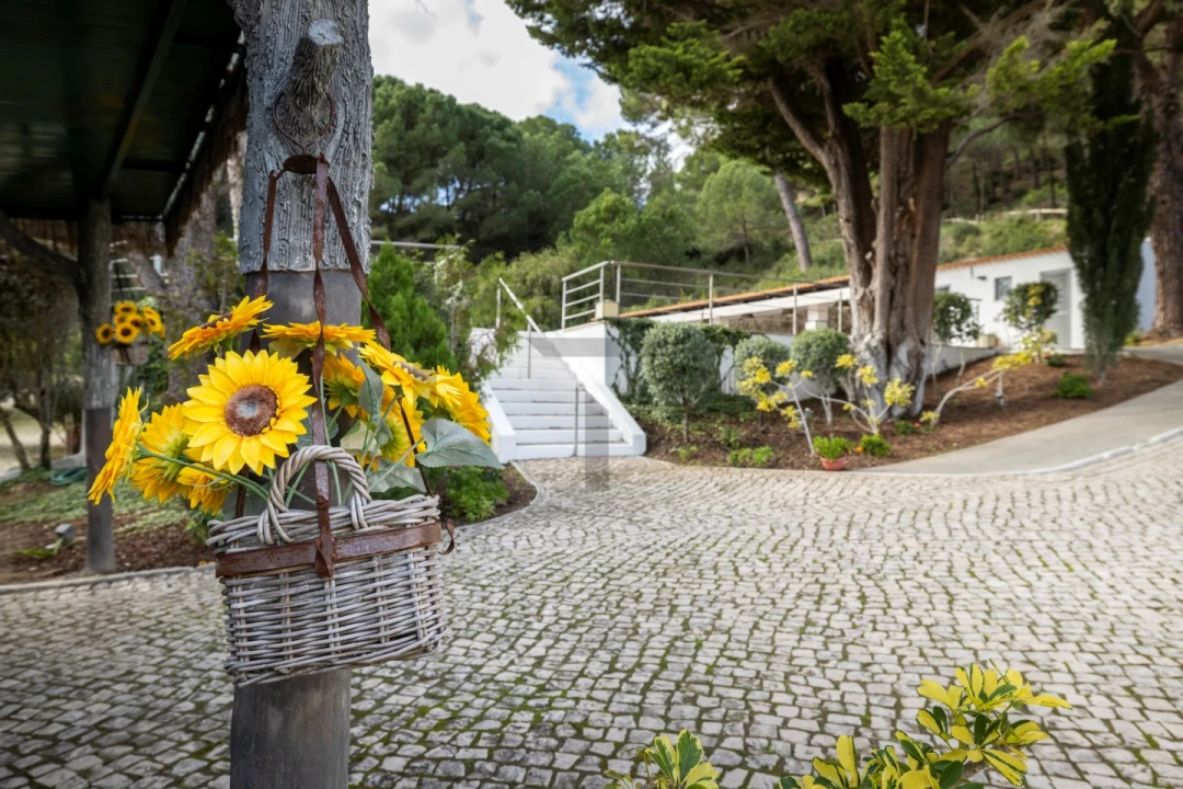 Quinta T5 para Venda em Azeitão (São Lourenço e São Simão) Foto 17