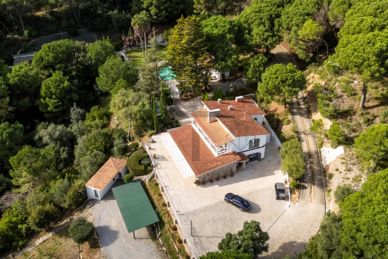 Quinta T5 para Venda em Azeitão (São Lourenço e São Simão) Foto 5