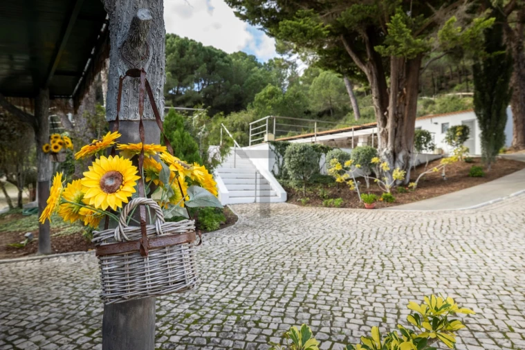 Quinta T5 para Venda em Azeitão (São Lourenço e São Simão) Foto 17