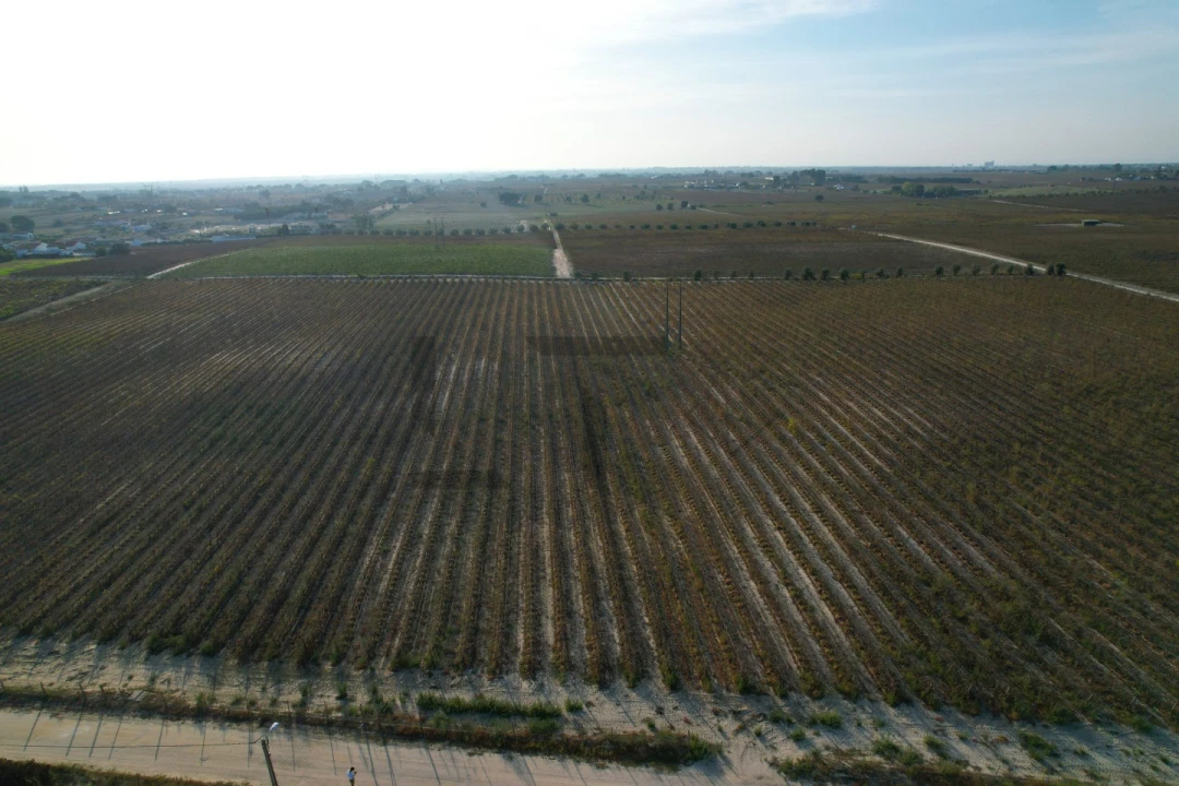 Terreno Misto para Venda em Poceirão e Marateca Foto 14