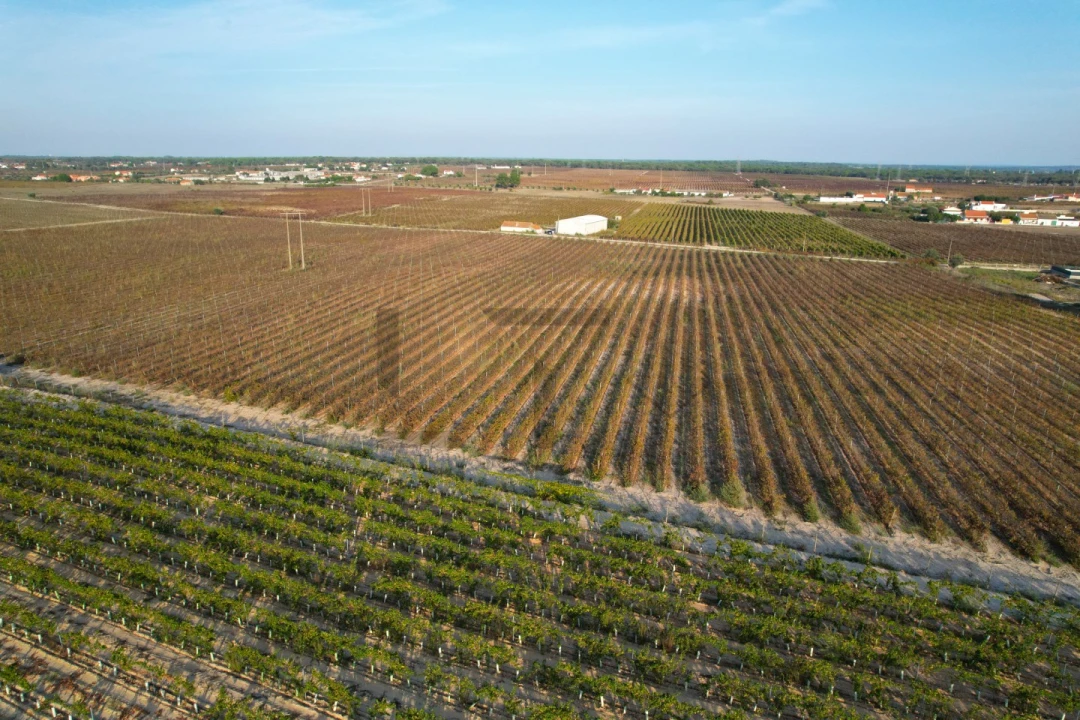 Terreno Misto para Venda em Poceirão e Marateca Foto 17