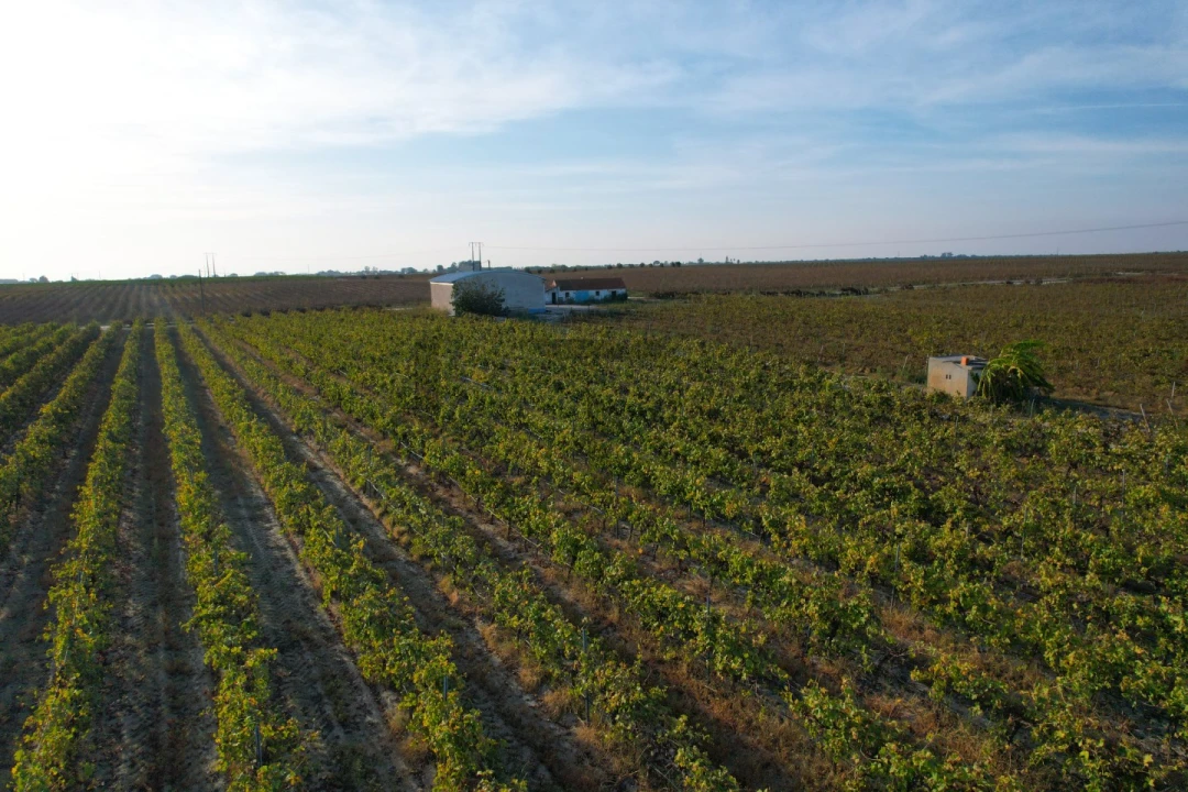Terreno Misto para Venda em Poceirão e Marateca Foto 18
