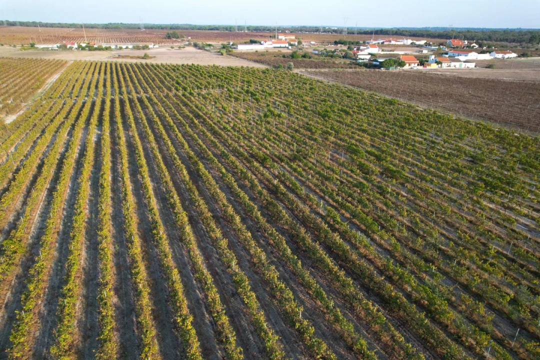 Terreno Misto para Venda em Poceirão e Marateca Foto 21