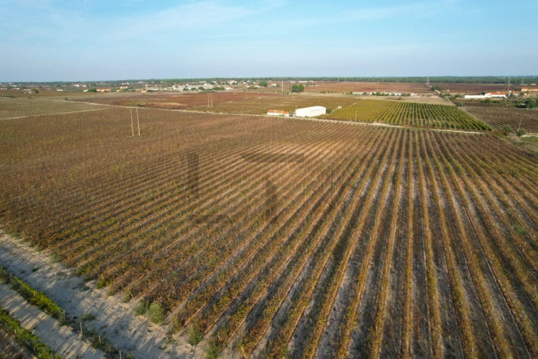 Terreno Misto para Venda em Poceirão e Marateca Foto 2