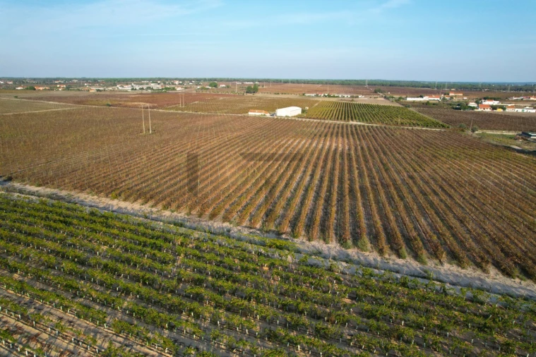 Terreno Misto para Venda em Poceirão e Marateca Foto 17