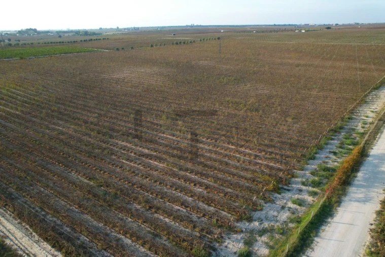 Terreno Misto para Venda em Poceirão e Marateca Foto 26