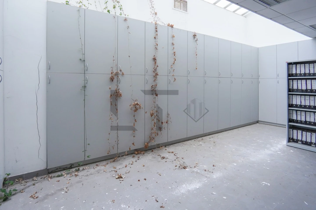 Escritório para Venda em Lumiar Foto 13