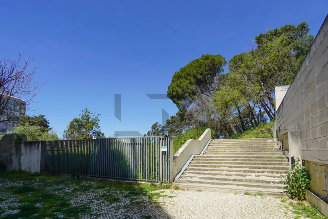 Escritório para Venda em Lumiar Foto 23