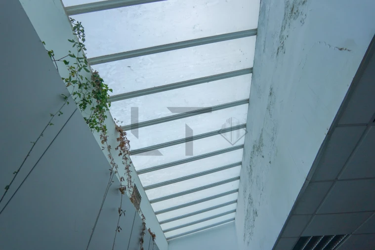 Escritório para Venda em Lumiar Foto 14