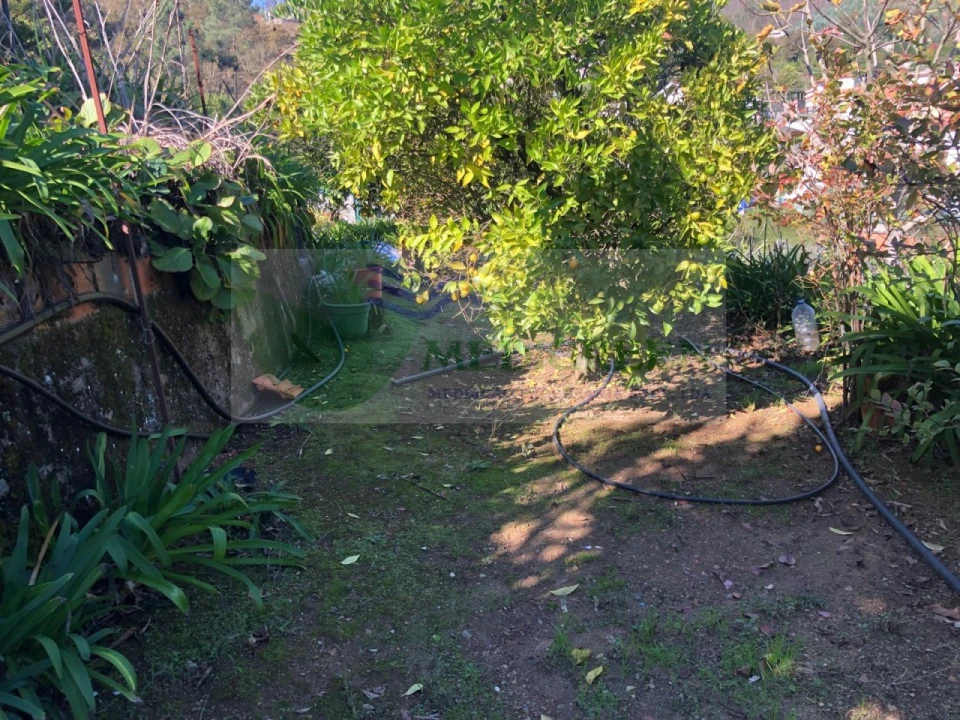 Moradia T3 para Venda em Pessegueiro do Vouga Foto 22