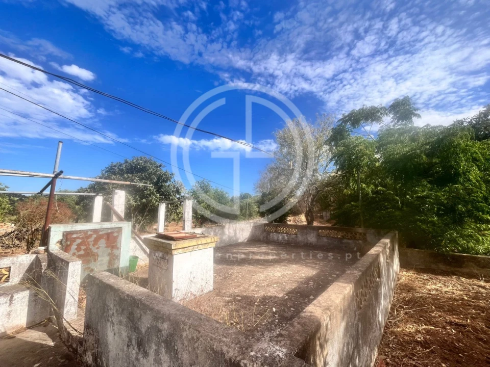 Terreno para Venda em Loule (São Sebastião) Foto 5