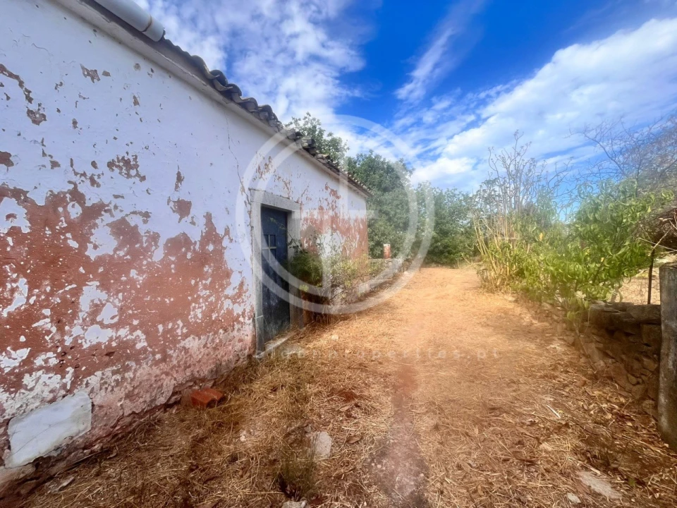 Terreno para Venda em Loule (São Sebastião) Foto 8