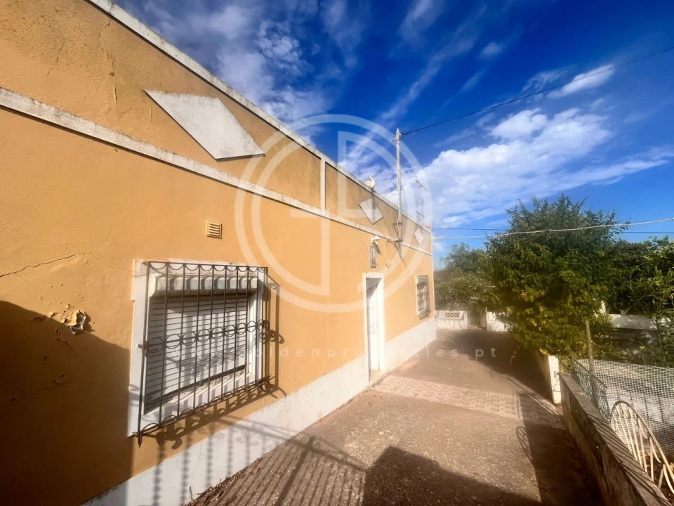Terreno para Venda em Loule (São Sebastião) Foto 15