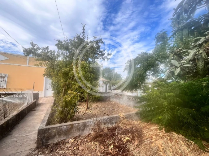 Terreno para Venda em Loule (São Sebastião) Foto 4